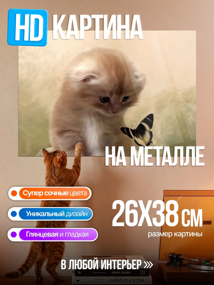 Картина на металле Котёнок и бабочка