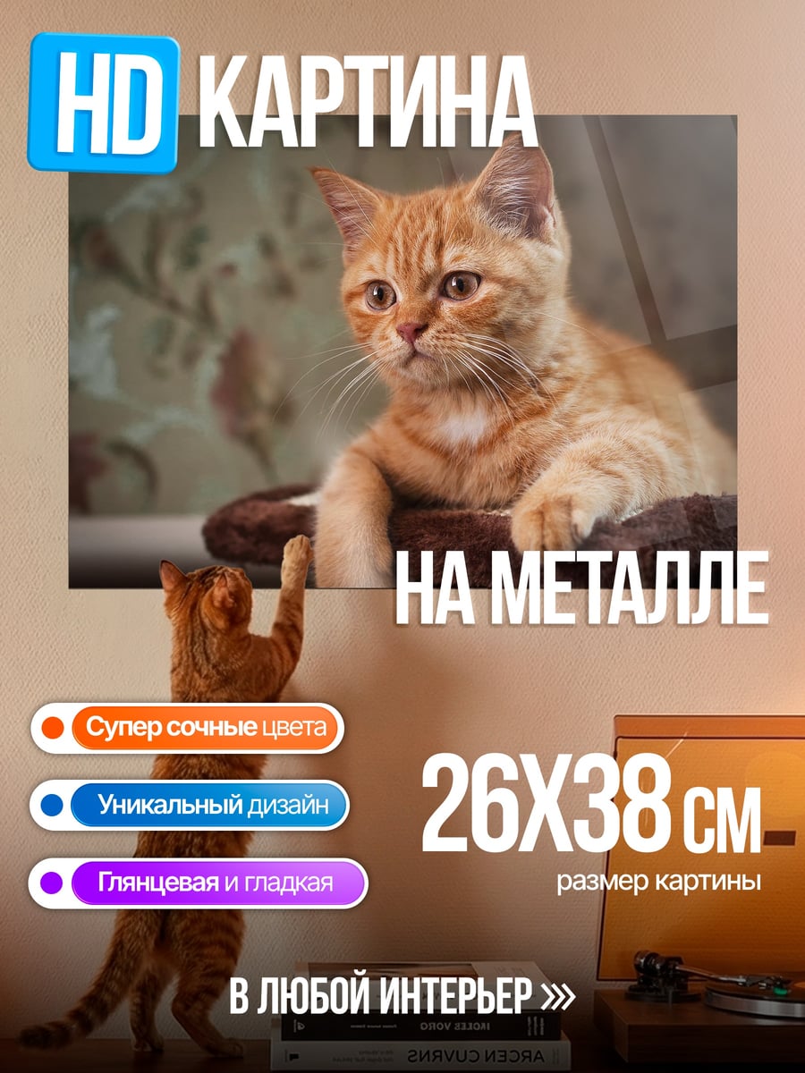 Картина на металле Рыжий кот лежит
