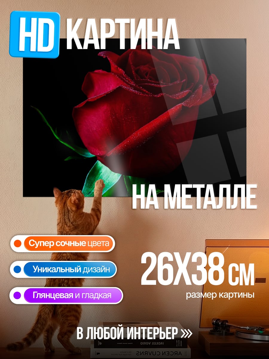 Картина на металле Алая роза