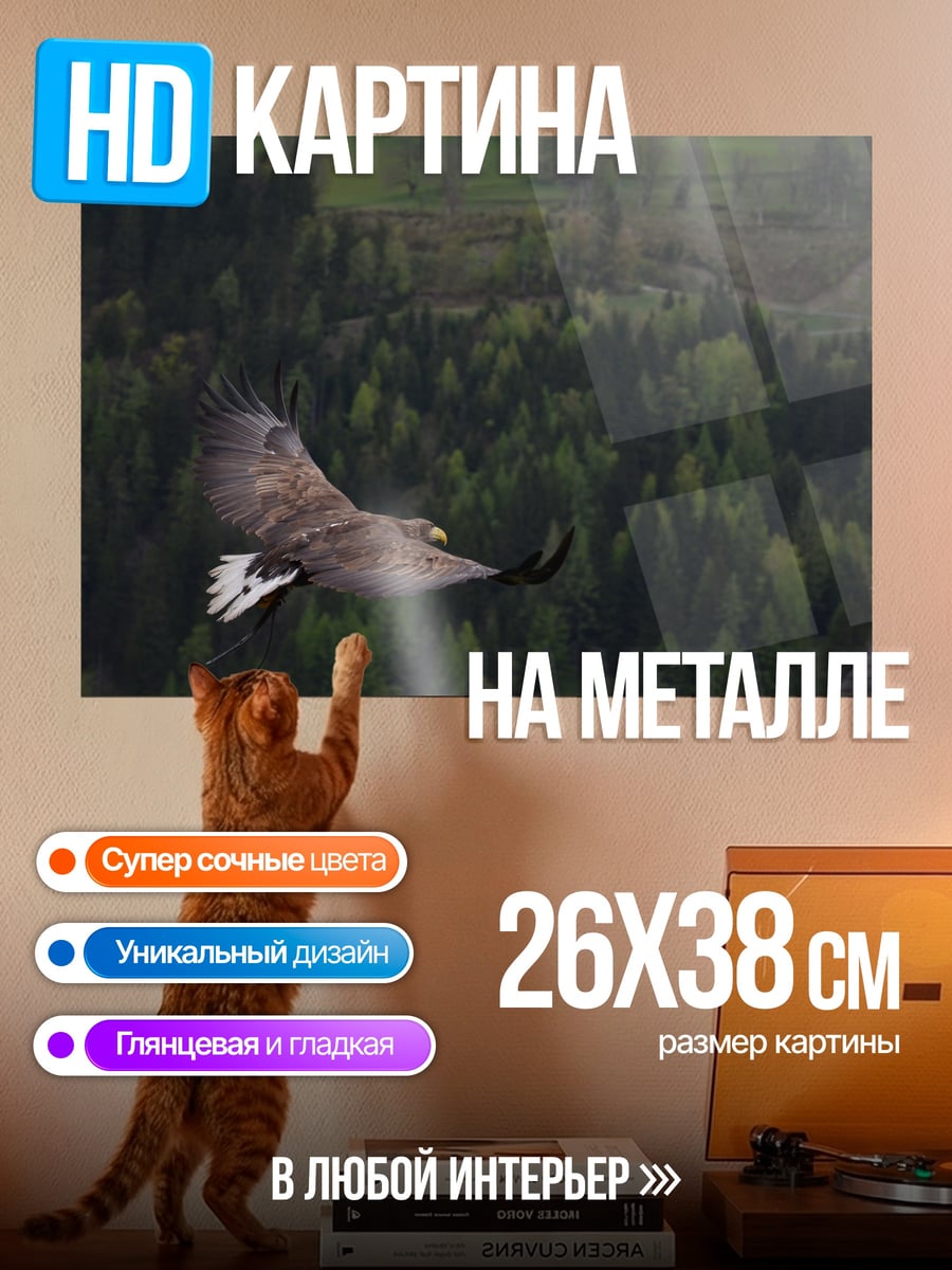 Картина на металле орел над лесом
