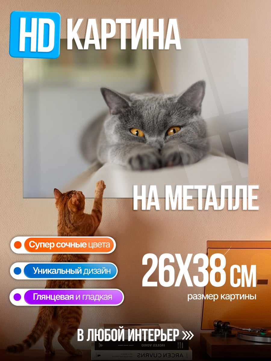 Картина на металле серый кот лежит
