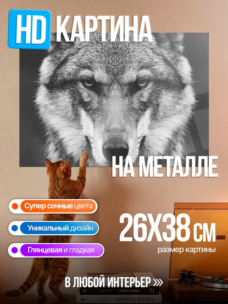 Картина на металле Портрет волка
