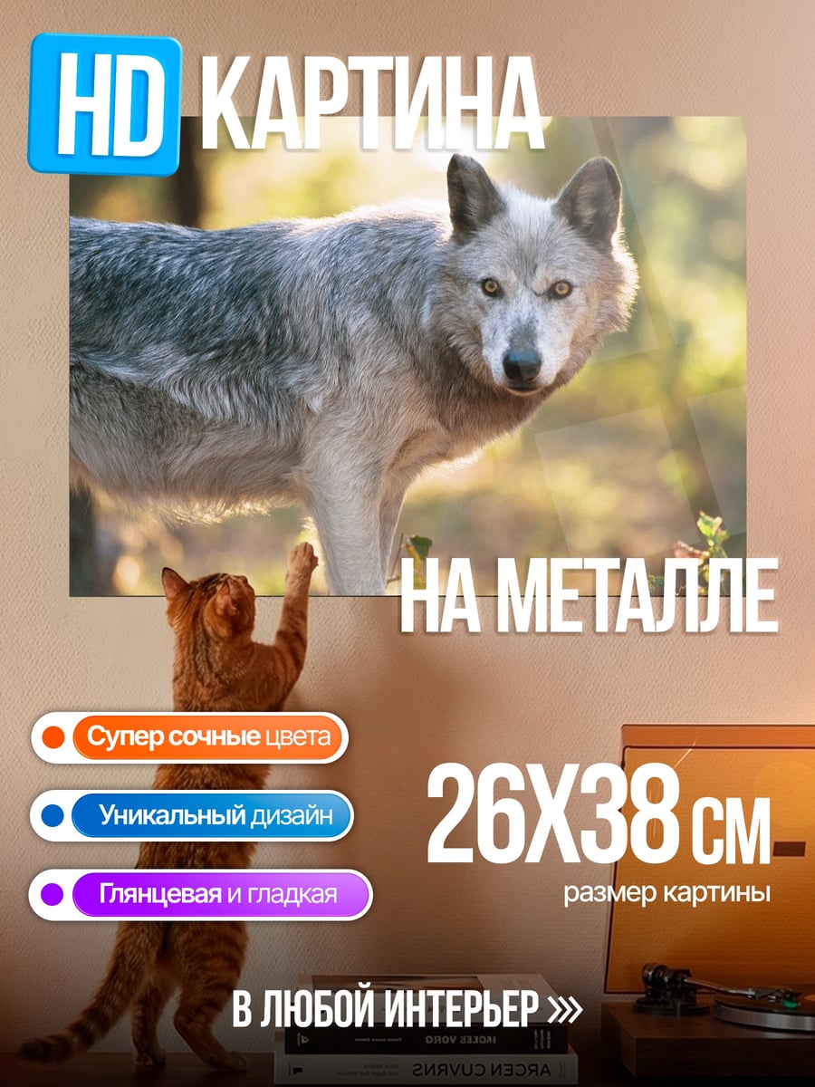 Картина на металле Лесной волк