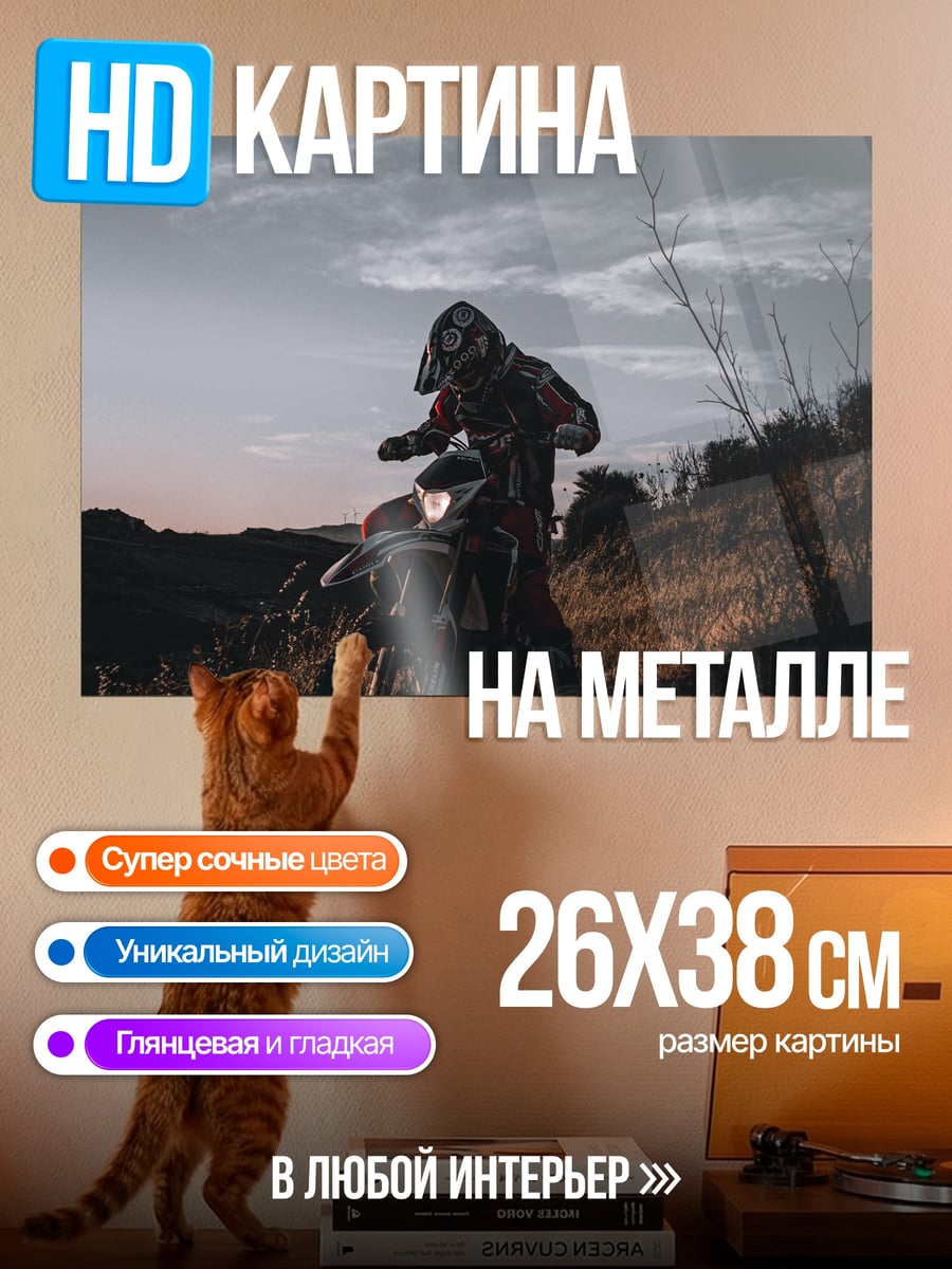 Картина на металле Мотоциклист на холме