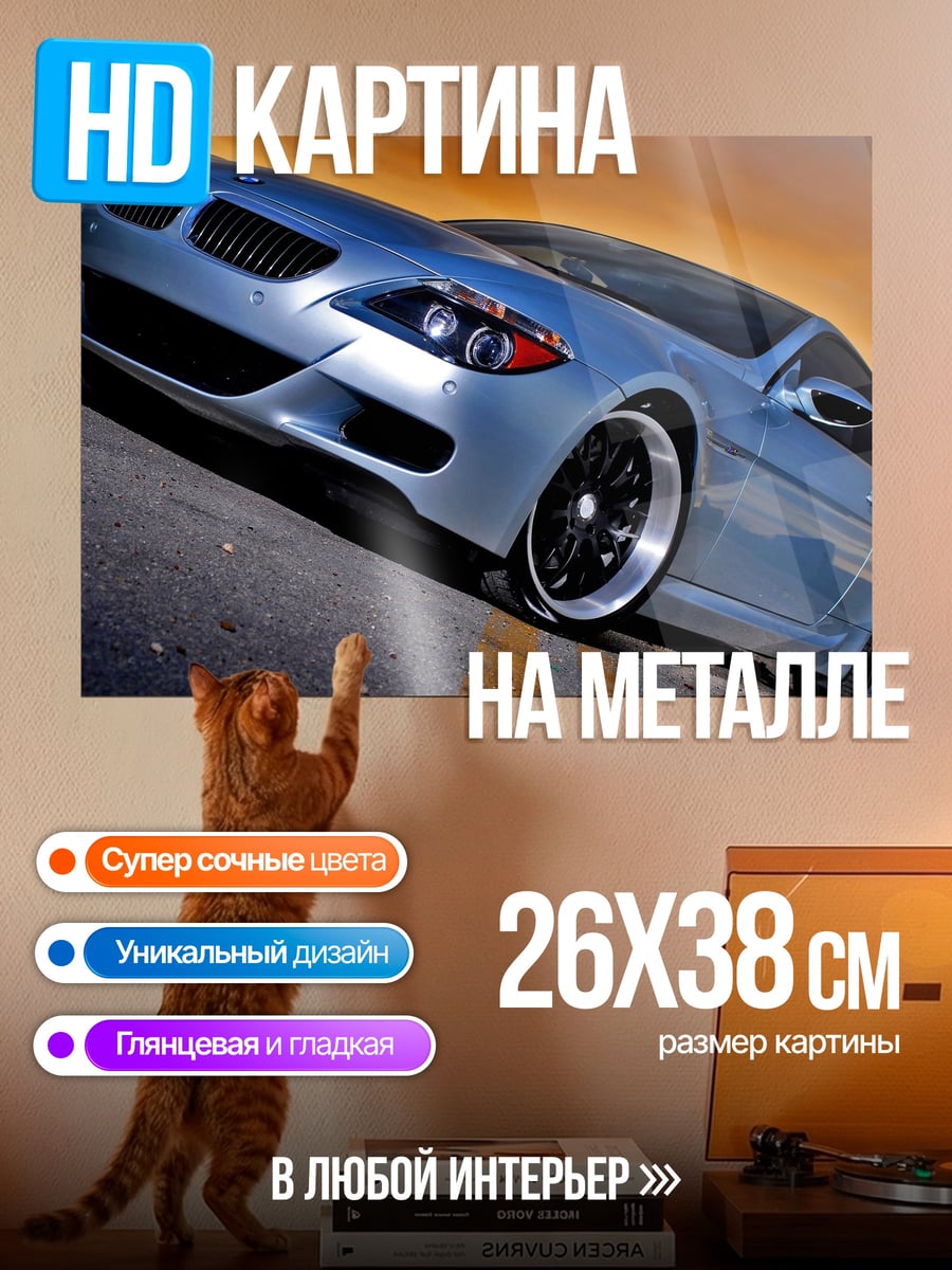 Картина на металле Серебристый купе