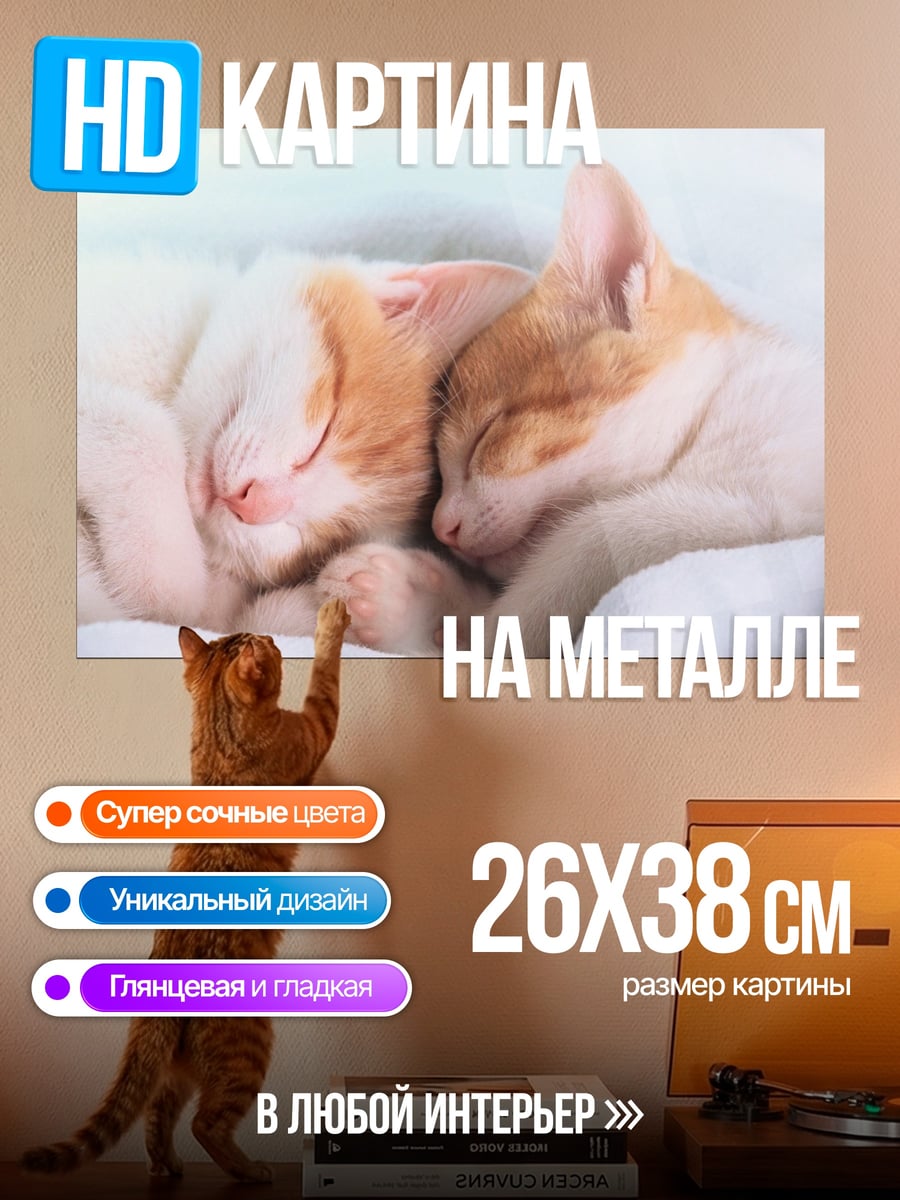 Картина на металле Спящие котята