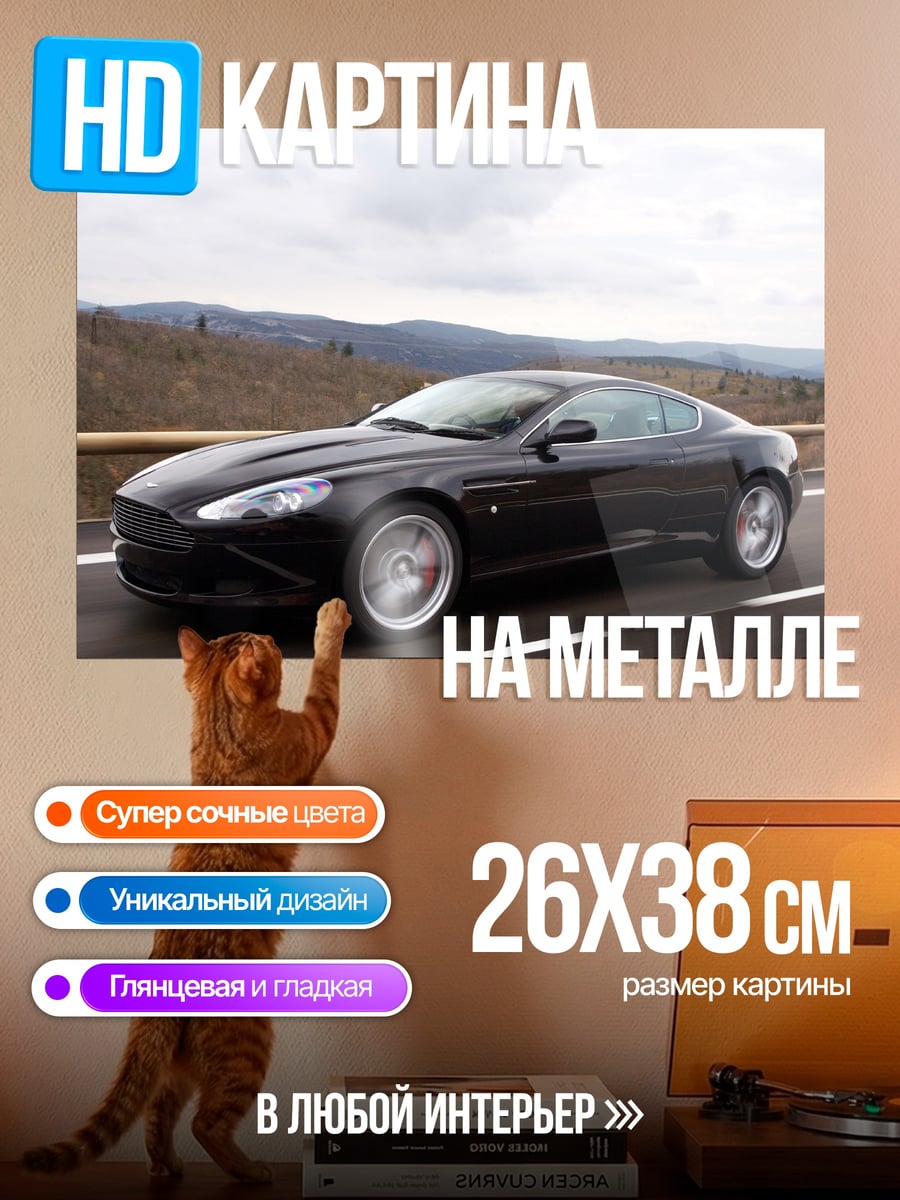 Картина на металле Черный спорткар на дороге