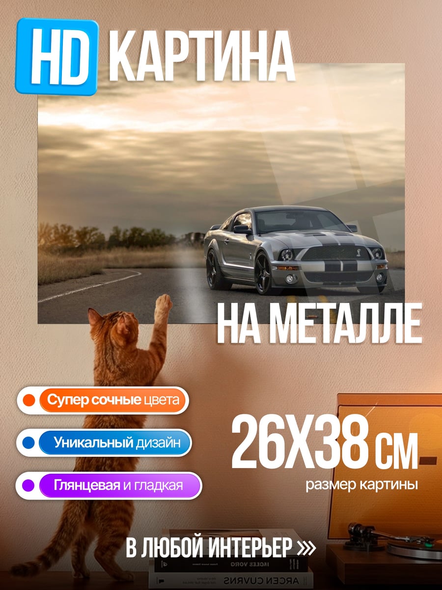 Картина на металле Серебристый мустанг на дороге