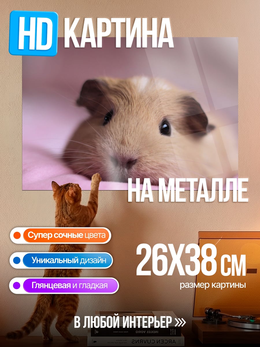 Картина на металле Морская свинка на розовом