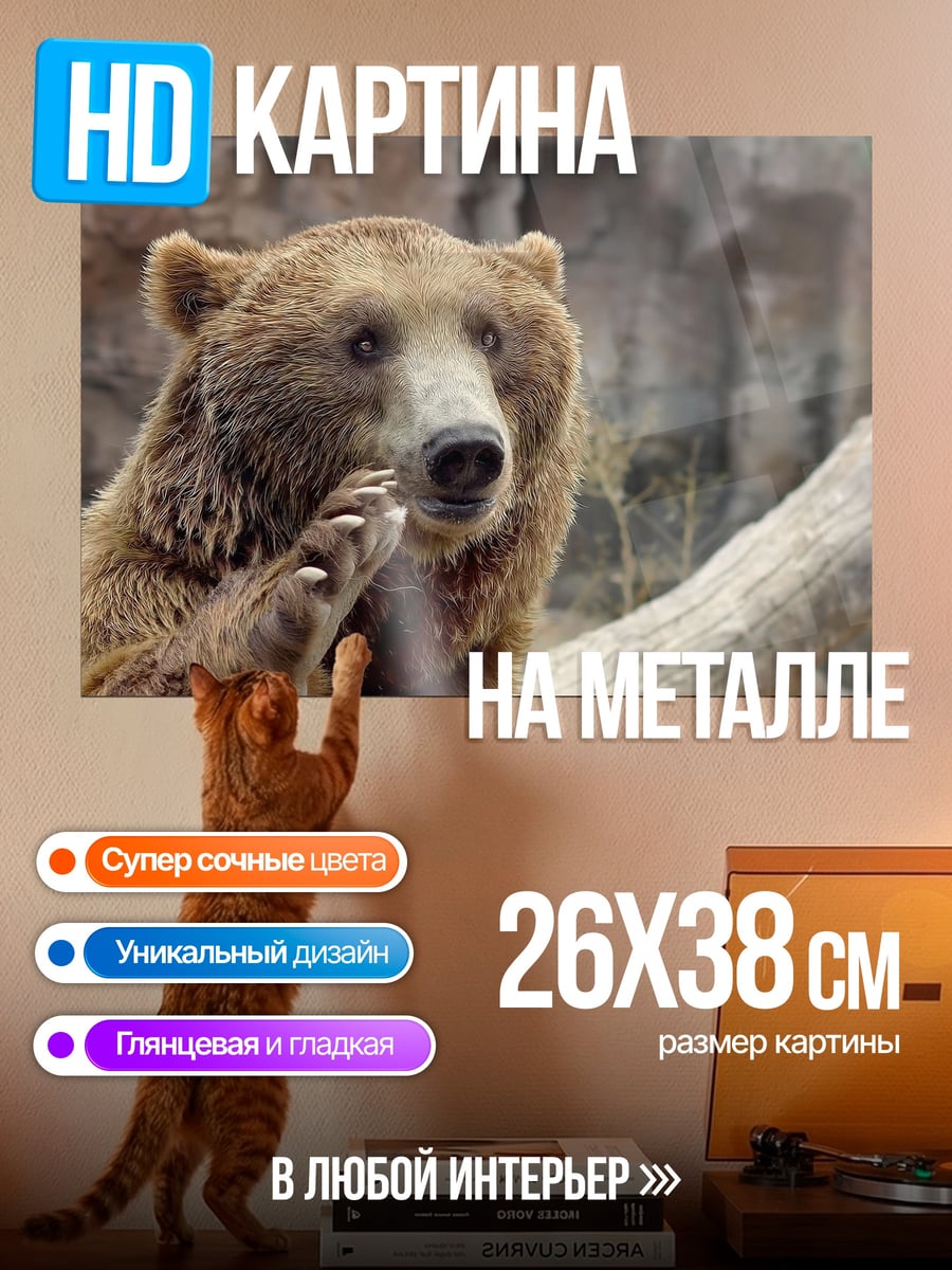 Картина на металле Бурый медведь