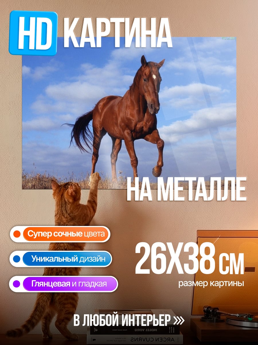 Картина на металле Рыжий конь на лугу
