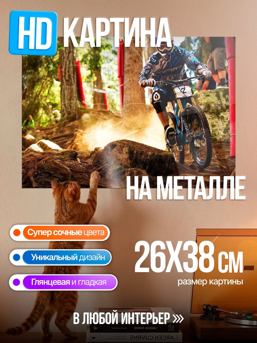 Картина на металле Скоростной спуск