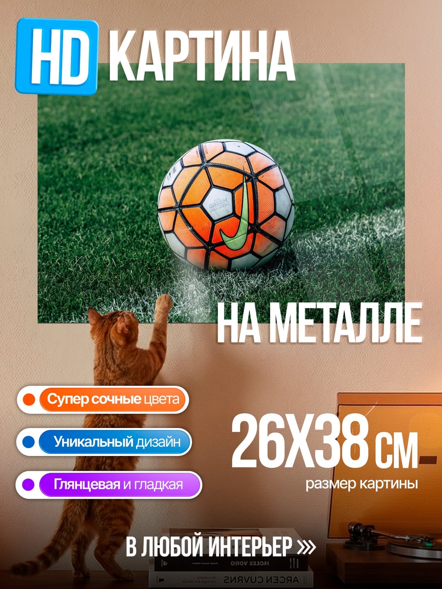 Картина на металле Футбольный мяч на поле