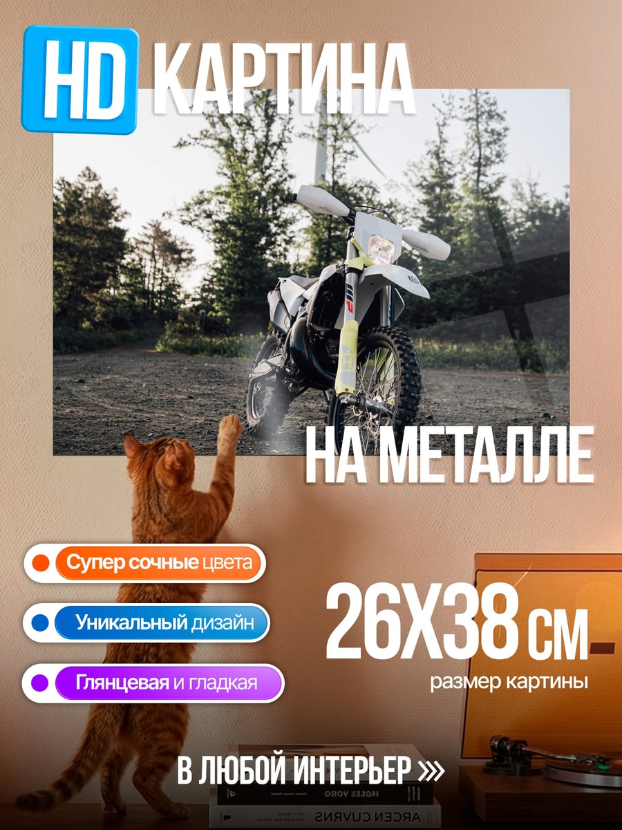 Картина на металле Мотоцикл и ветряк