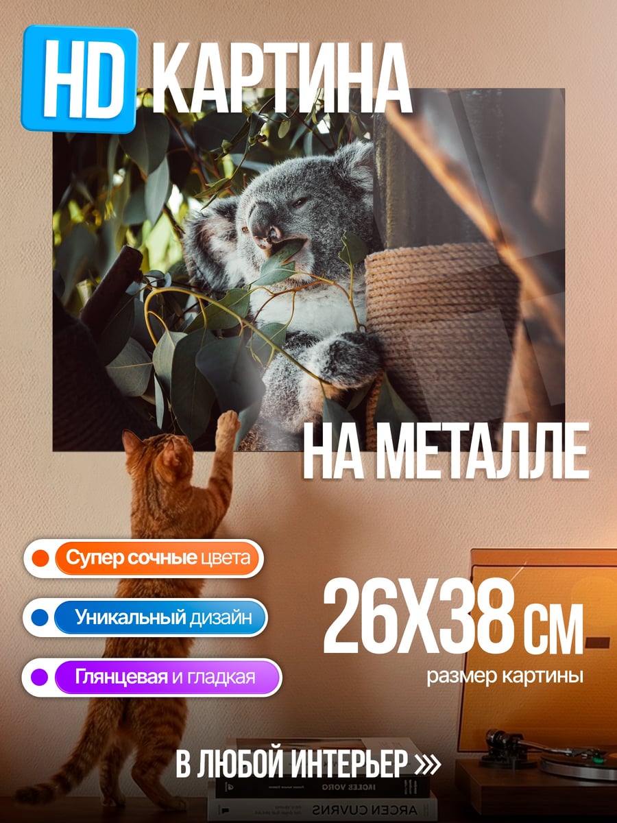 Картина на металле Коала в эвкалипте