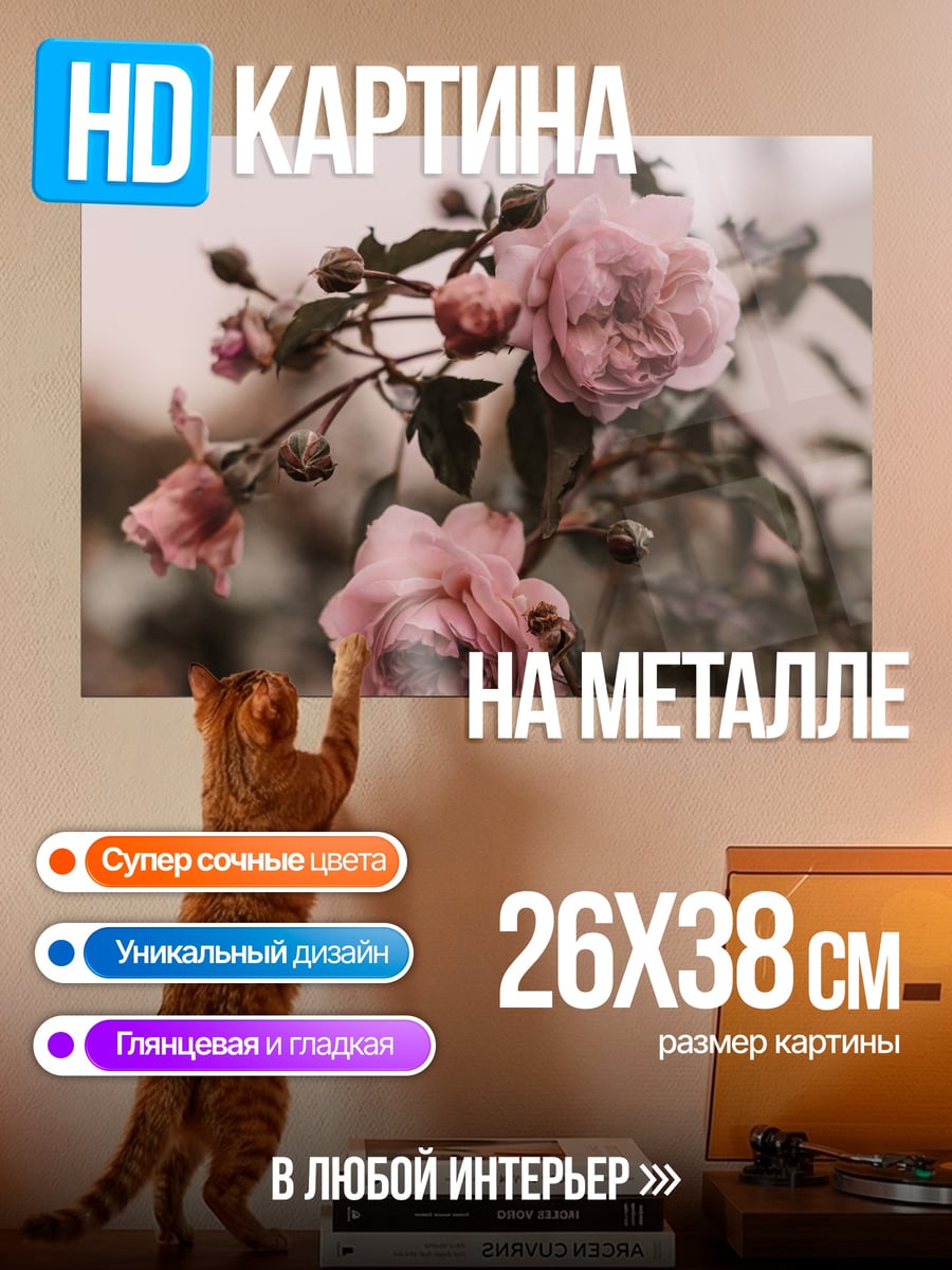 Картина на металле Романтичные розовые розы