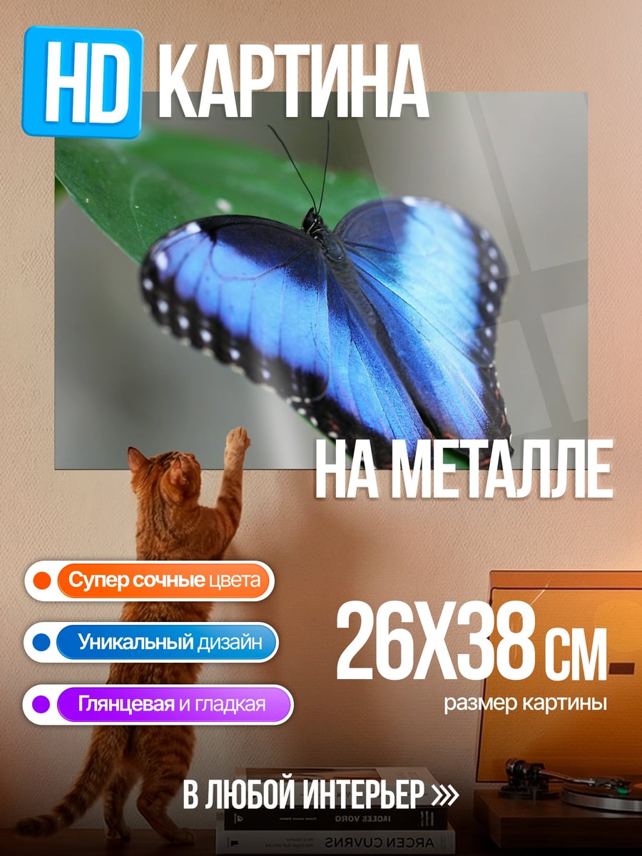 Картина на металле Синяя бабочка
