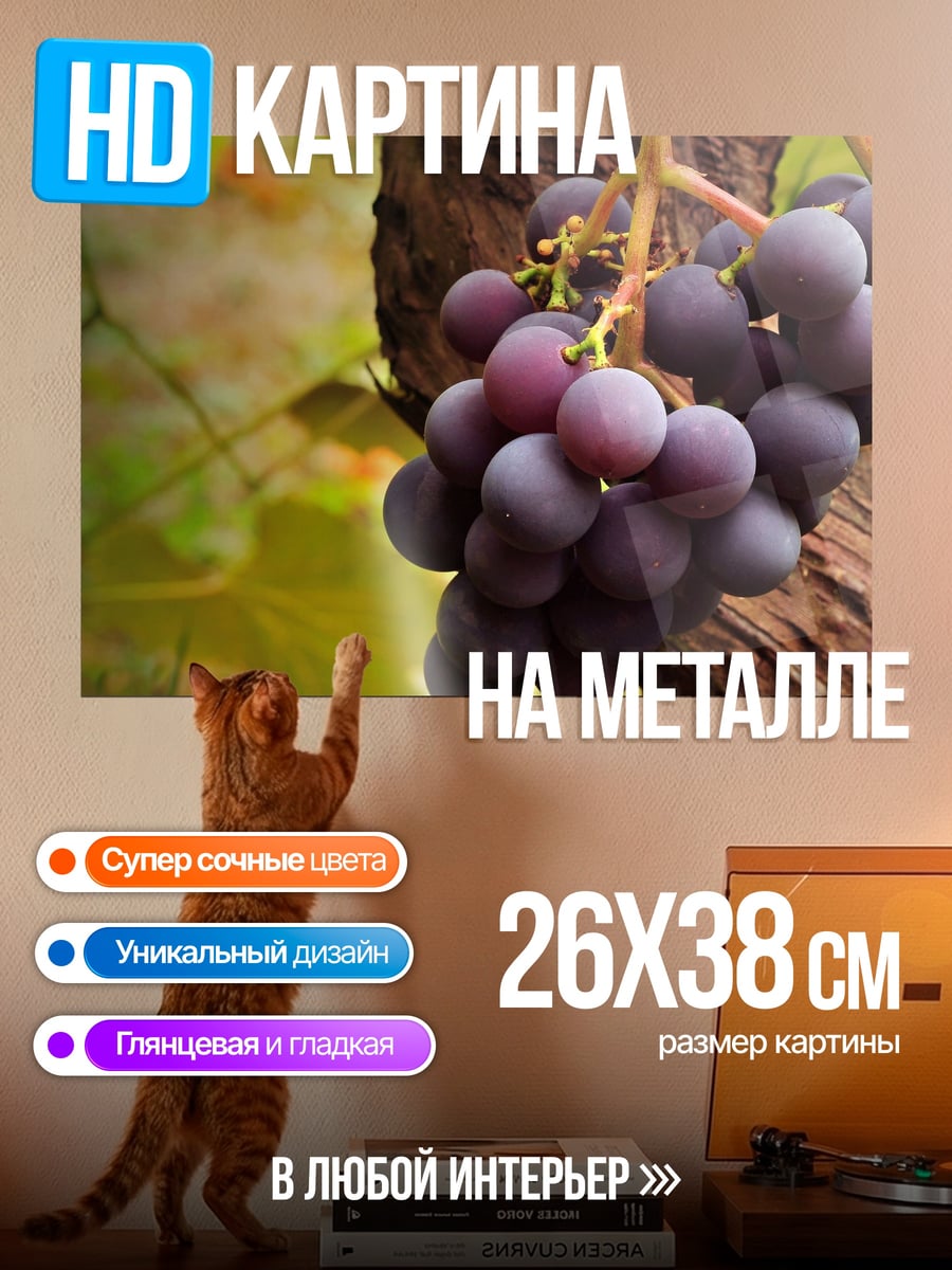 Картина на металле спелые гроздья винограда