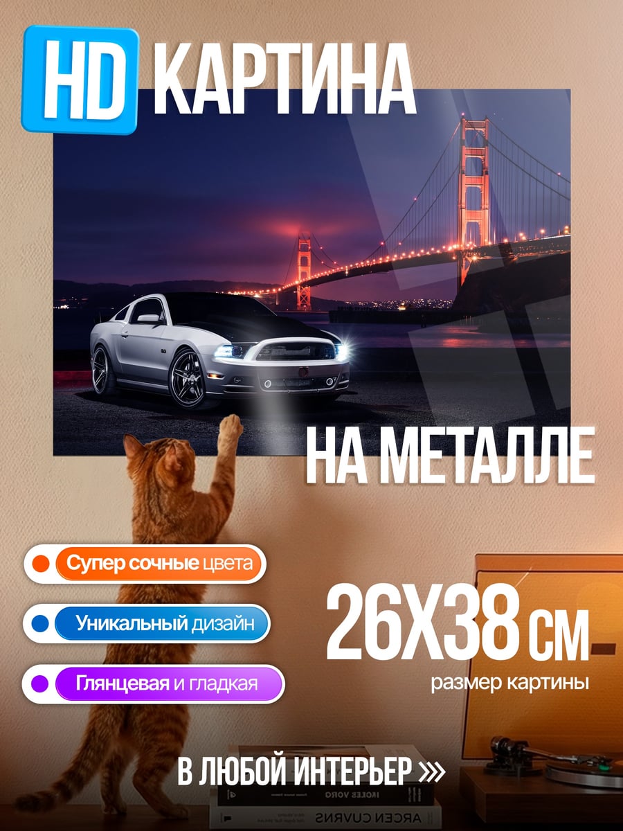 Картина на металле машина у моста