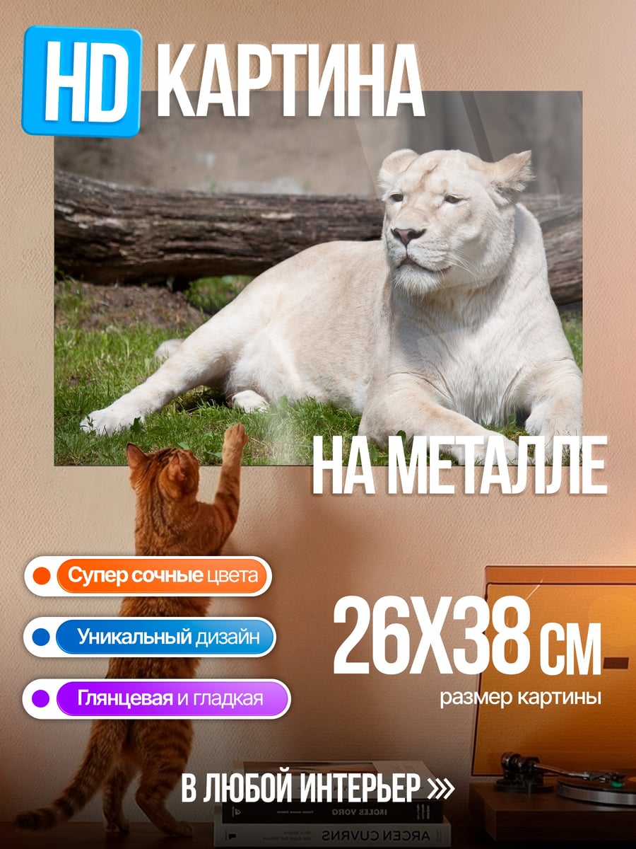 Картина на металле Белая львица