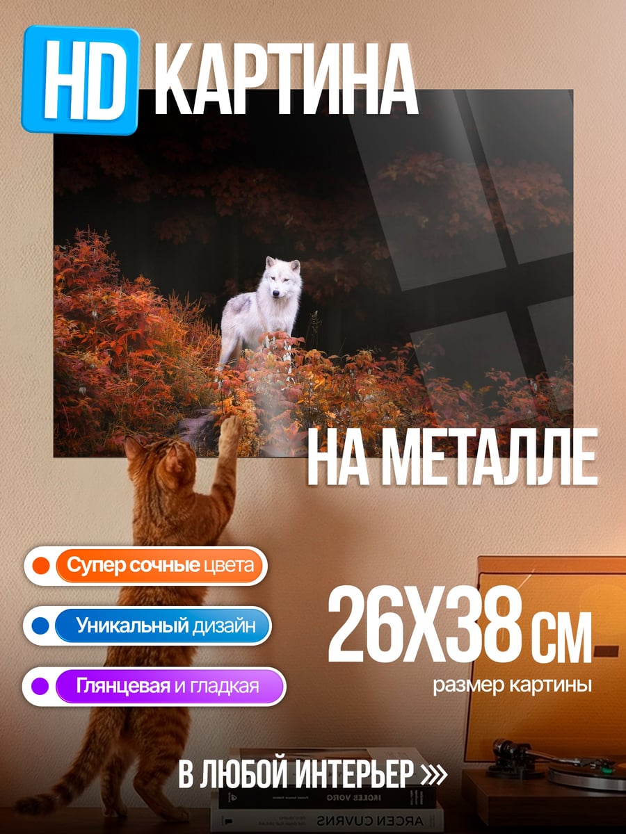 Картина на металле Белый волк
