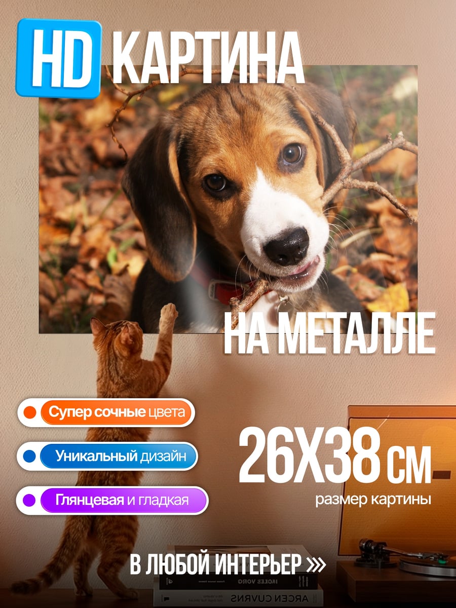 Картина на металле Щенок бигля