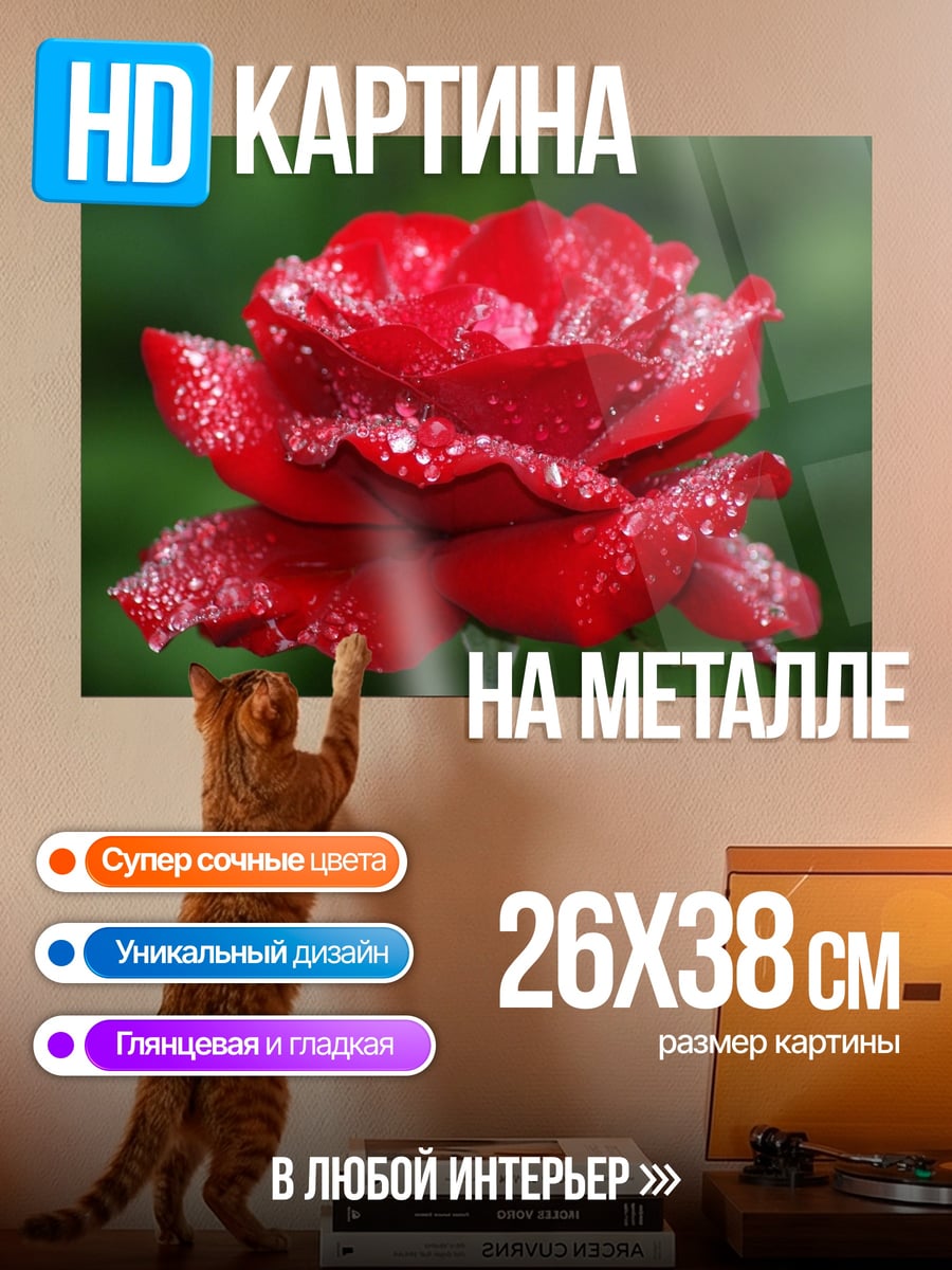 Картина на металле Красная роза