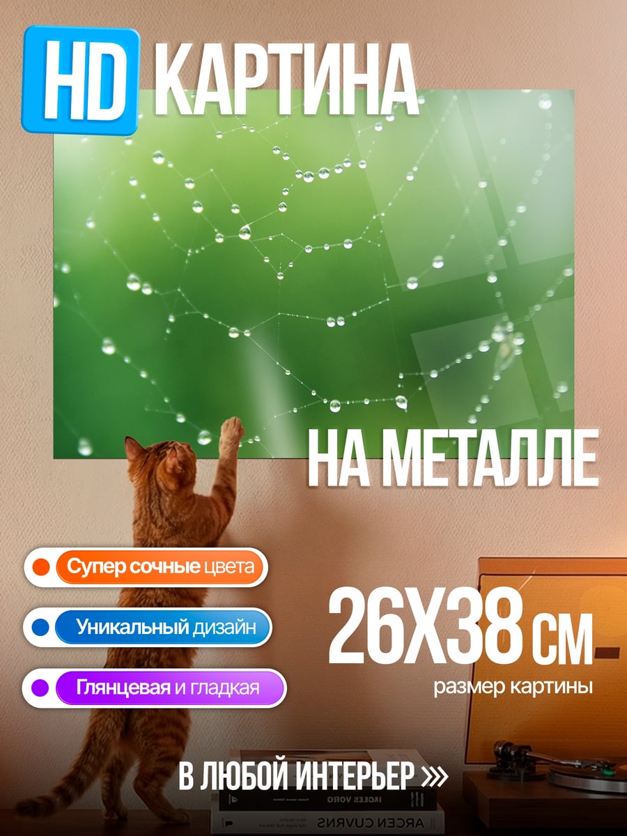 Картина на металле Паутина с росой