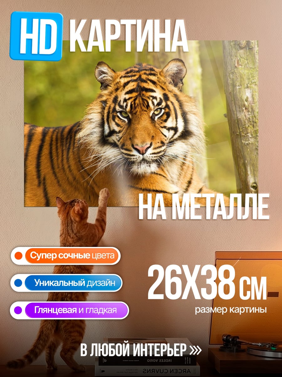 Картина на металле Портрет тигра