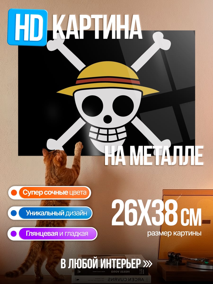 Картина на металле Веселый Роджер