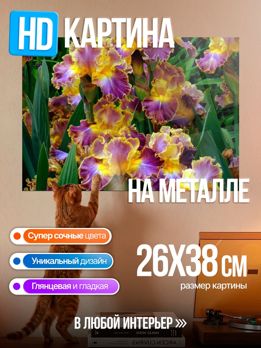 Картина на металле Пурпурные ирисы