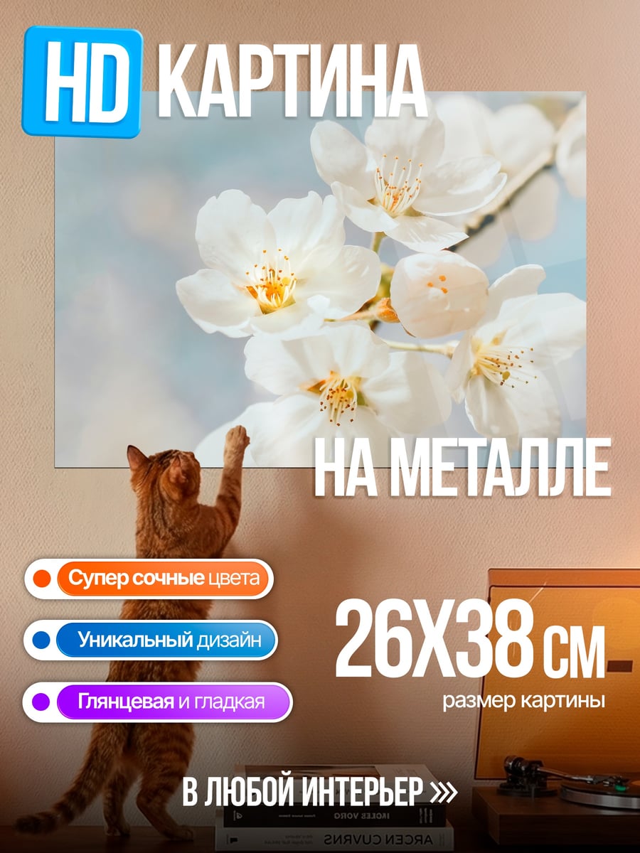 Картина на металле Цветущая сакура весной