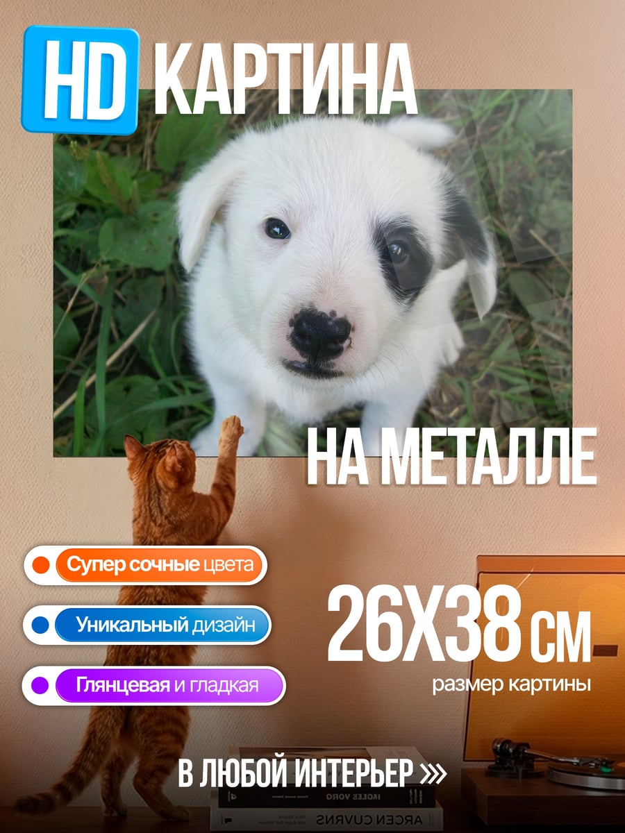 Картина на металле милый щенок в траве