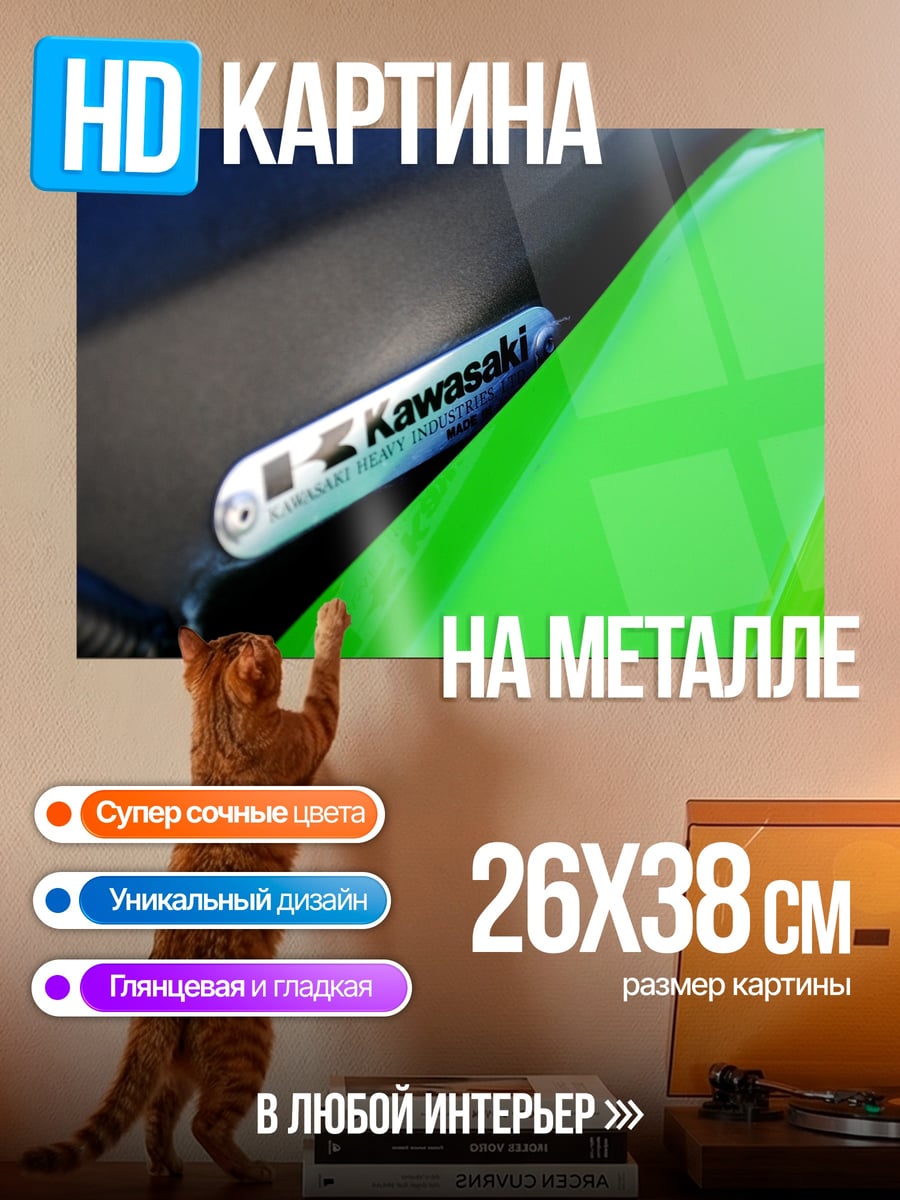 Картина на металле Логотип Kawasaki