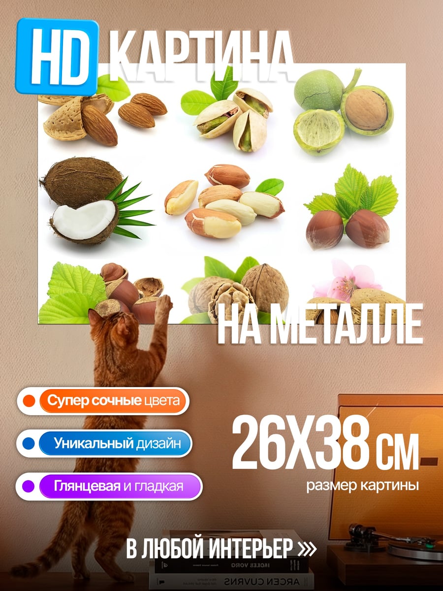Картина на металле Разнообразие орехов
