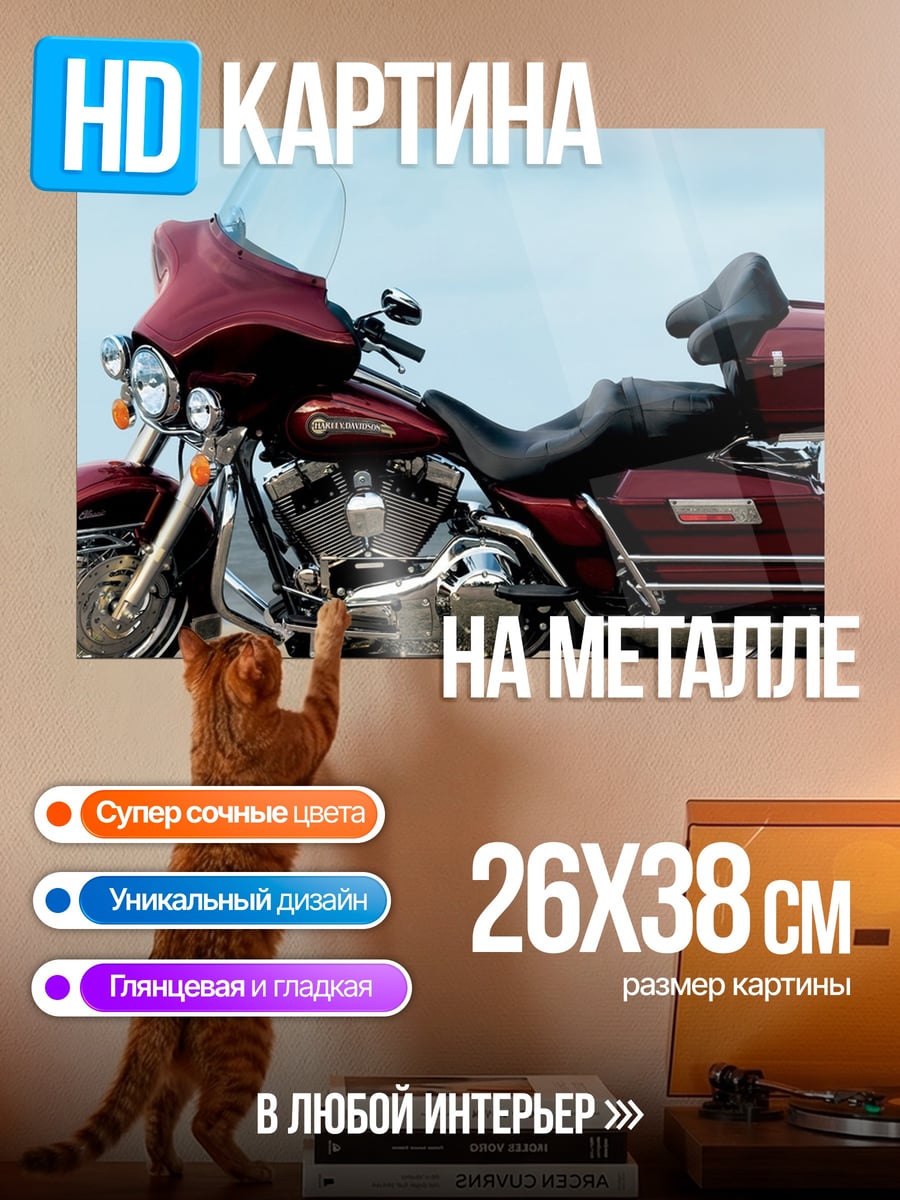 Картина на металле Красный мотоцикл