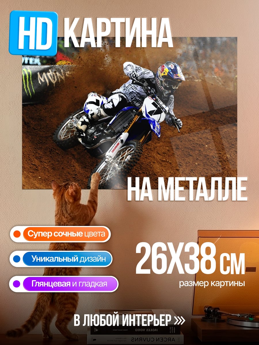 Картина на металле Мотокросс гонщик