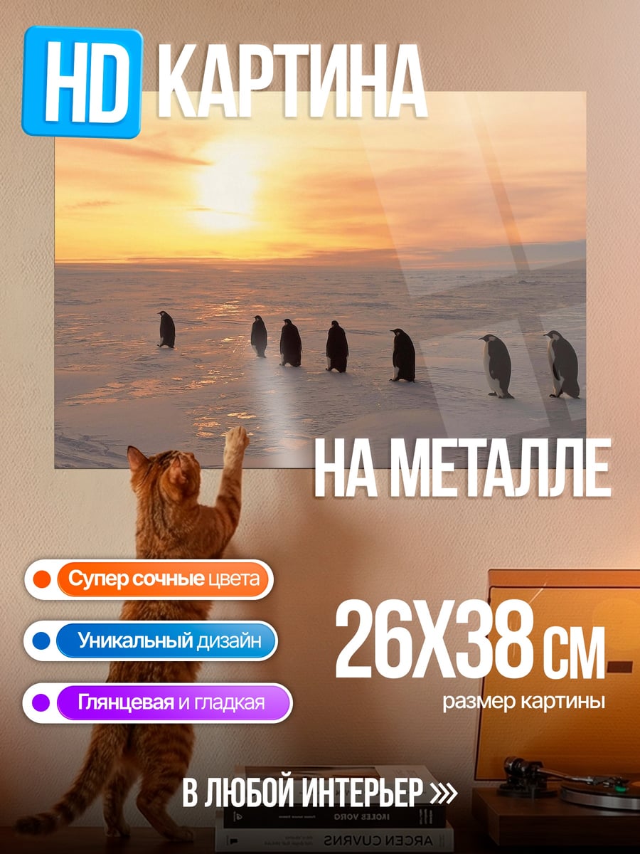 Картина на металле Пингвины на закате