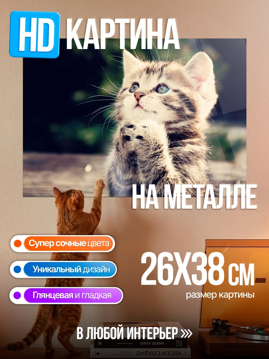 Картина на металле Молящийся котёнок