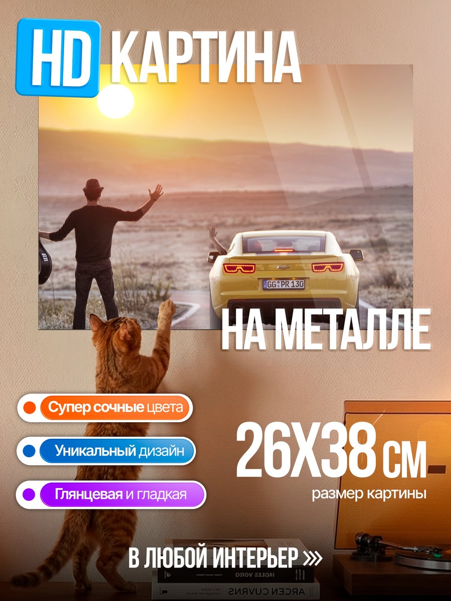 Картина на металле Музыкант и машина