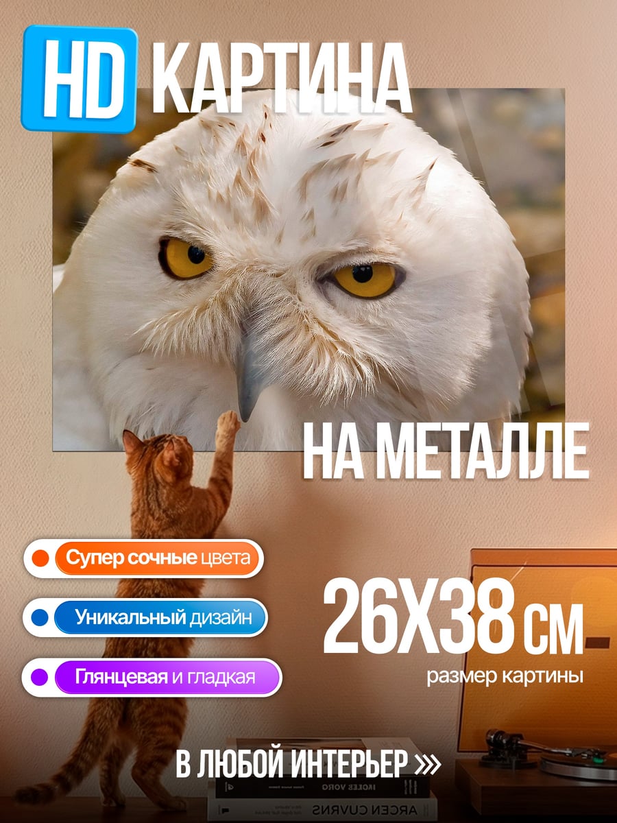 Картина на металле Белая полярная сова