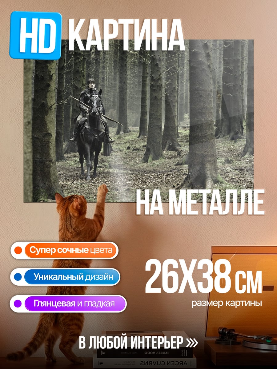 Картина на металле Всадница в лесу