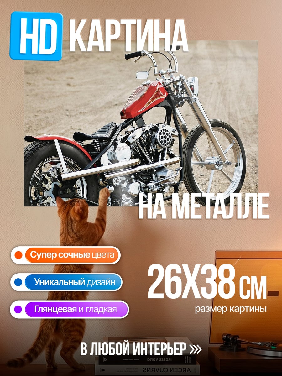Картина на металле Чоппер на дороге