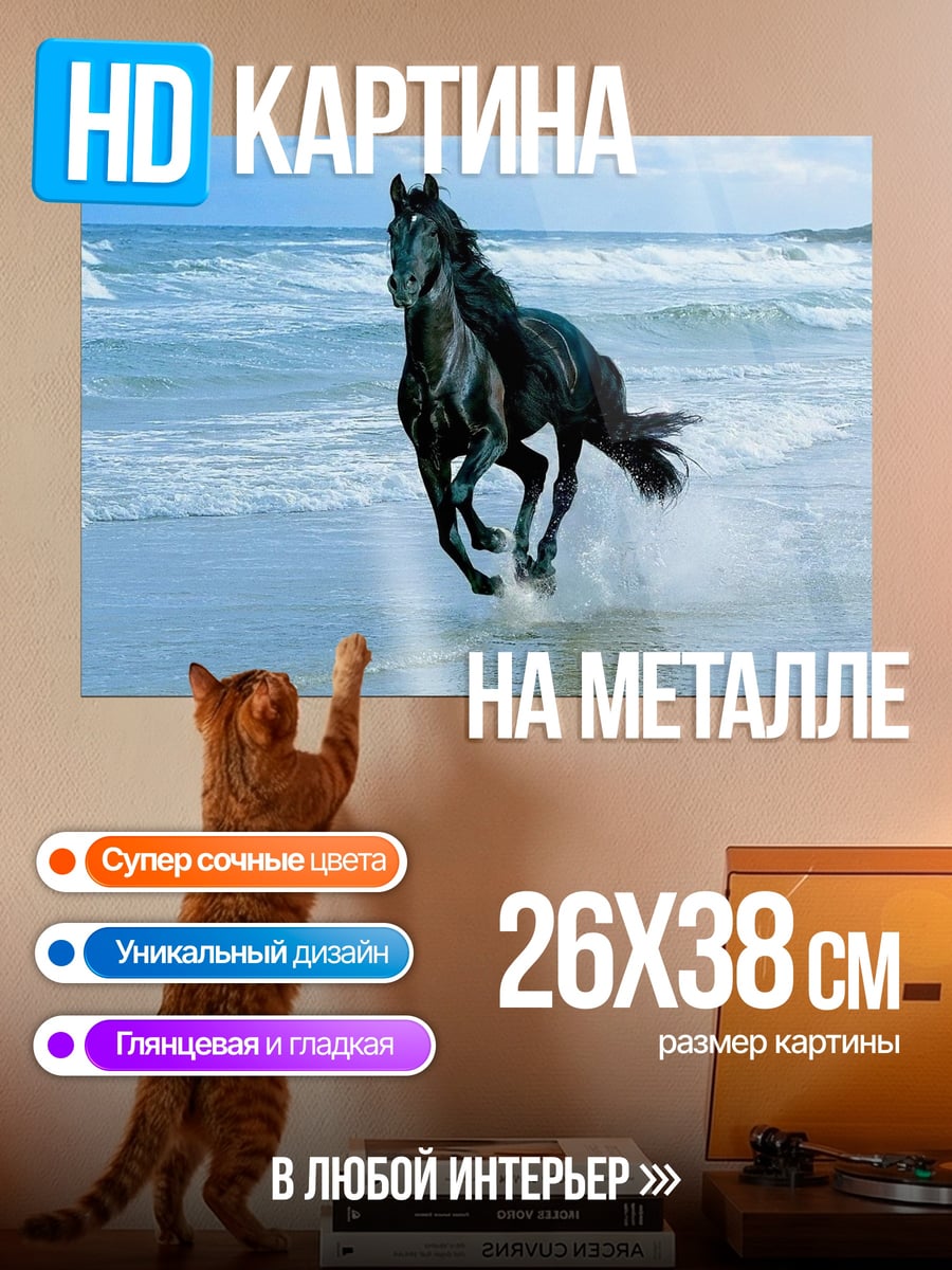 Картина на металле Черная лошадь на пляже