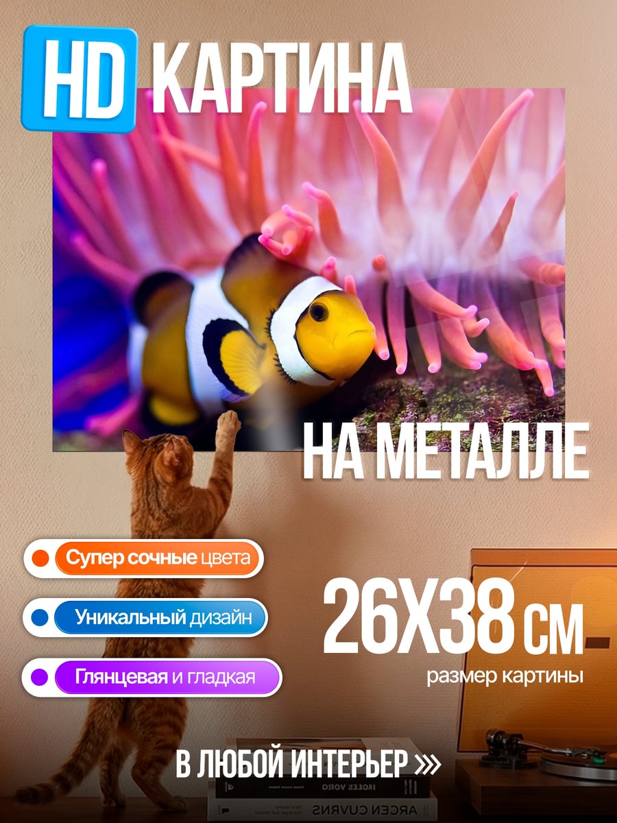 Картина на металле Рыба клоун