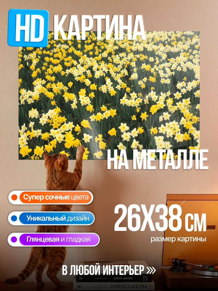 Картина на металле Поле нарциссов