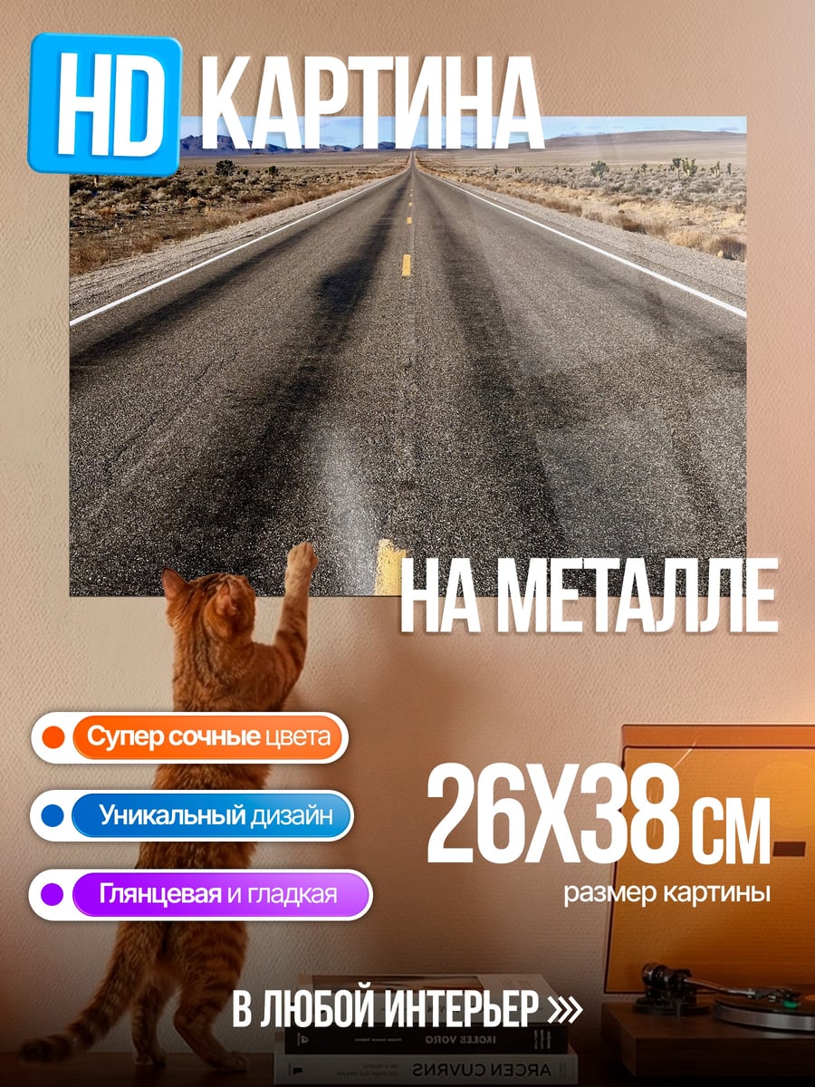 Картина на металле Пустая дорога