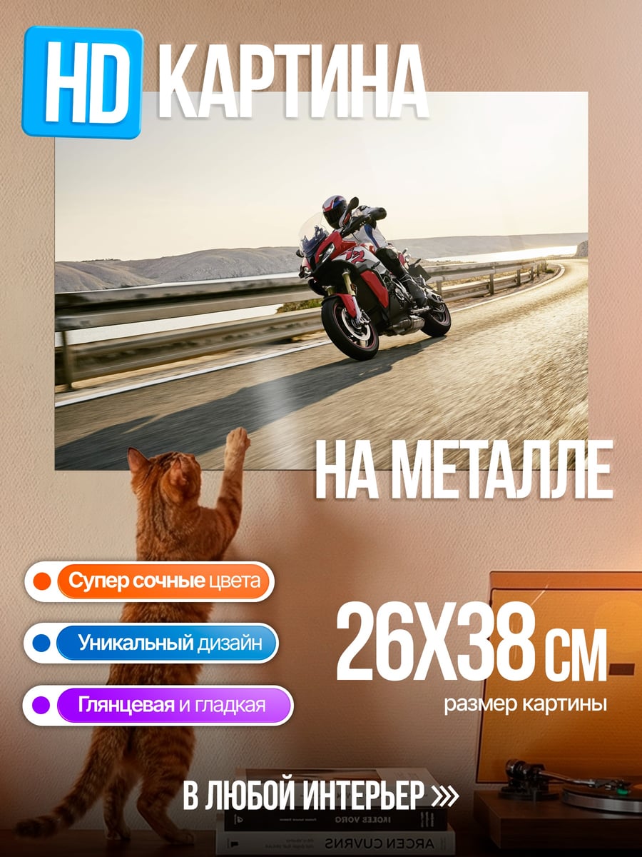 Картина на металле скоростной мотоцикл на дороге