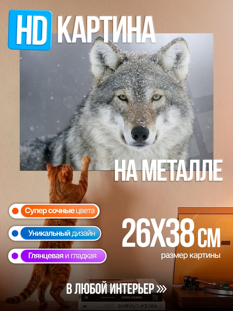 Картина на металле портрет волка зимой