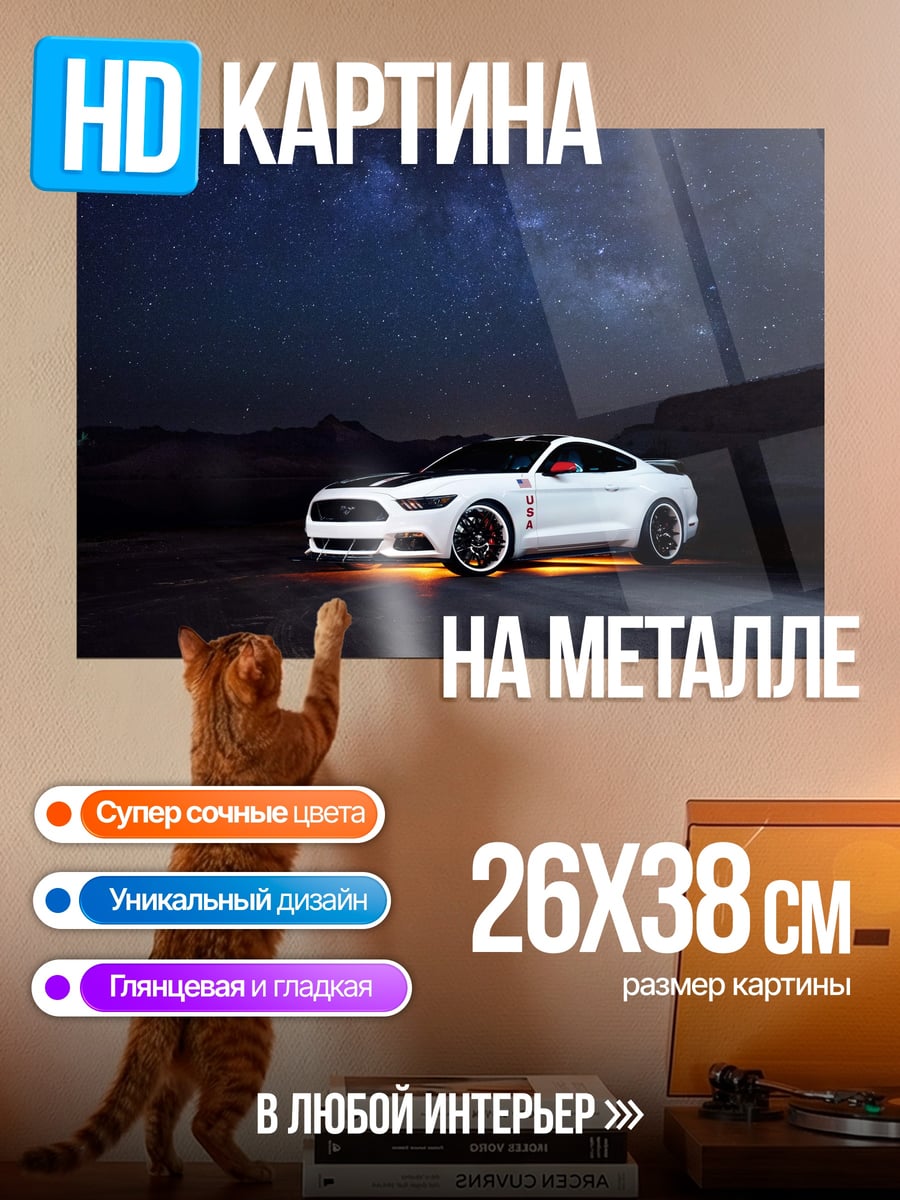 Картина на металле Мустанг под звездами
